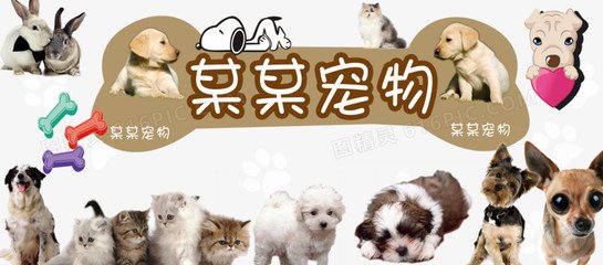 tp钱包安装包