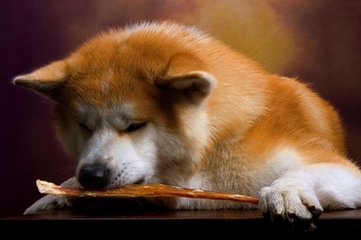 比特币钱包是什么样子的卡