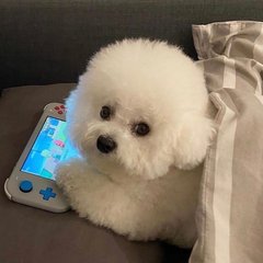 tokenpocket 钱包