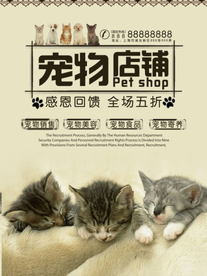 u币app哪个好
