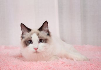 怎么注册比特币钱包