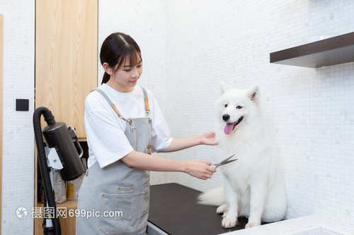 okpay钱包苹果下载教程