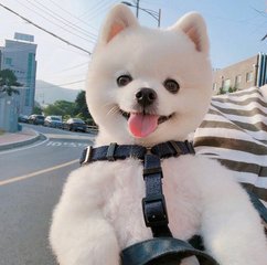 im钱包App官网最新版下载