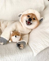 什么是比特币钱包账户注册